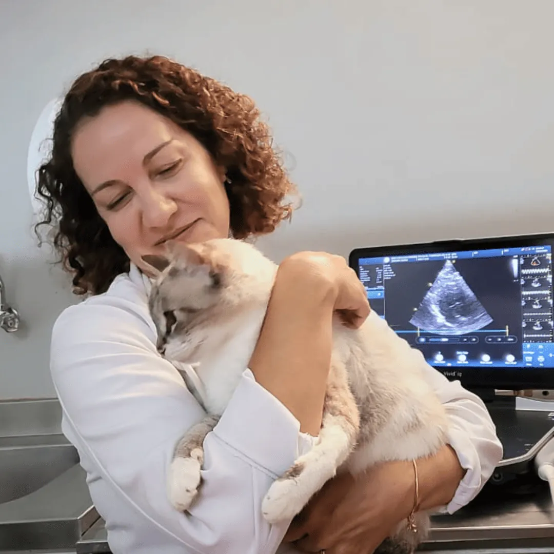 Dra. Nanci Diniz abraçando um gato, com a tela do ecocardiograma ao fundo
