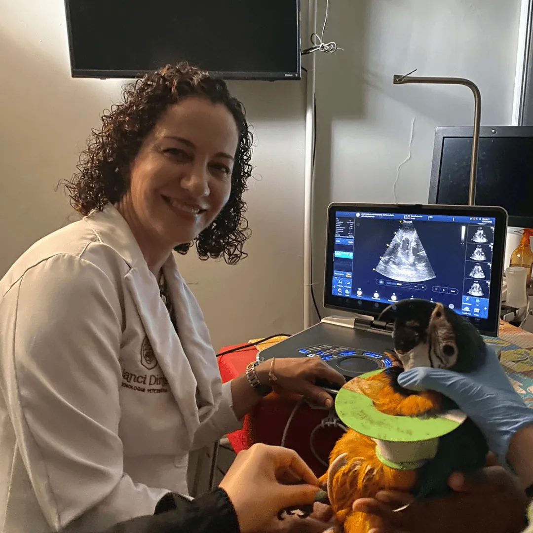 Dra. Nanci Diniz sorrindo em sala de atendimento, durante ecocardiograma de um pequeno paciente
