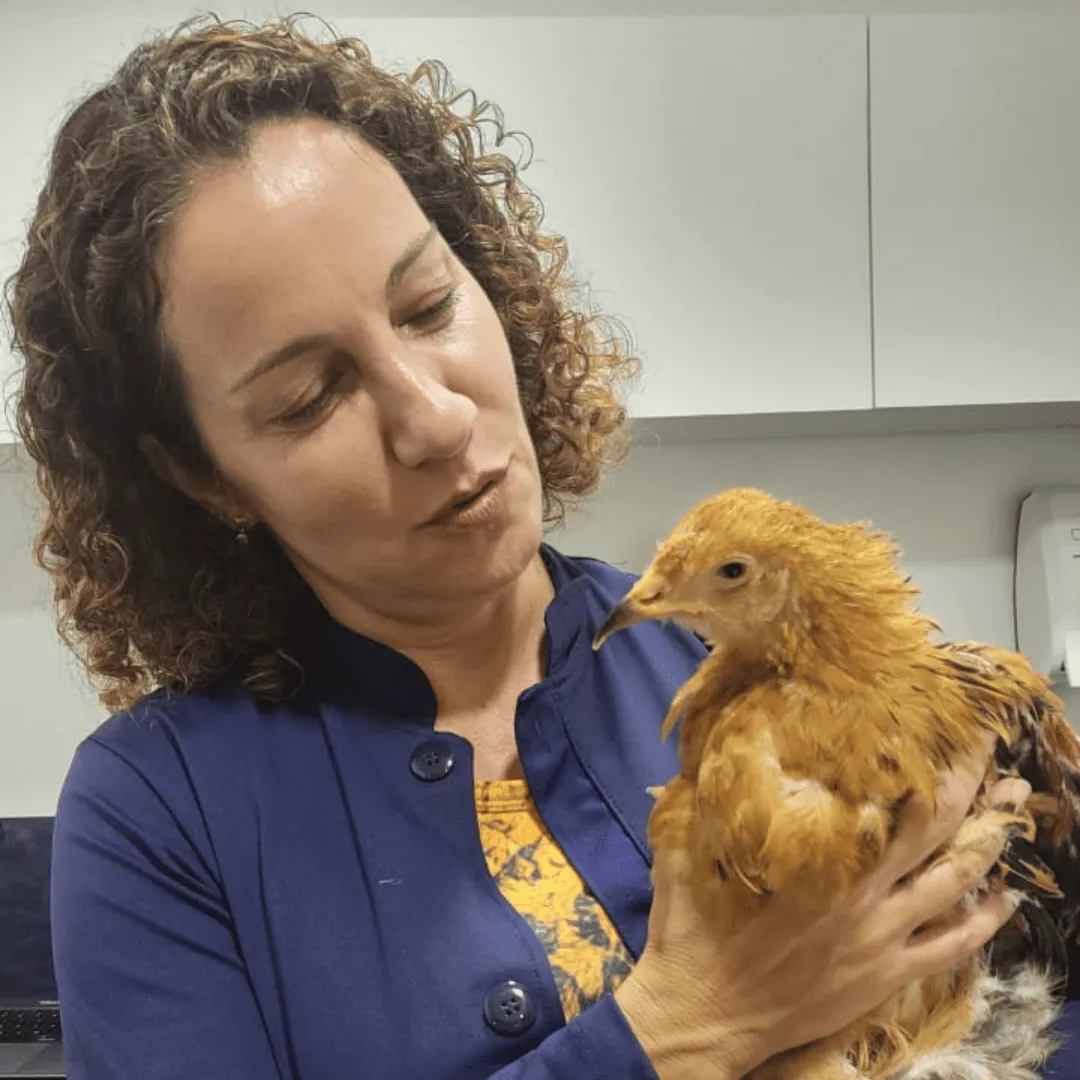 Dra. Nanci Diniz com uma galinha no colo