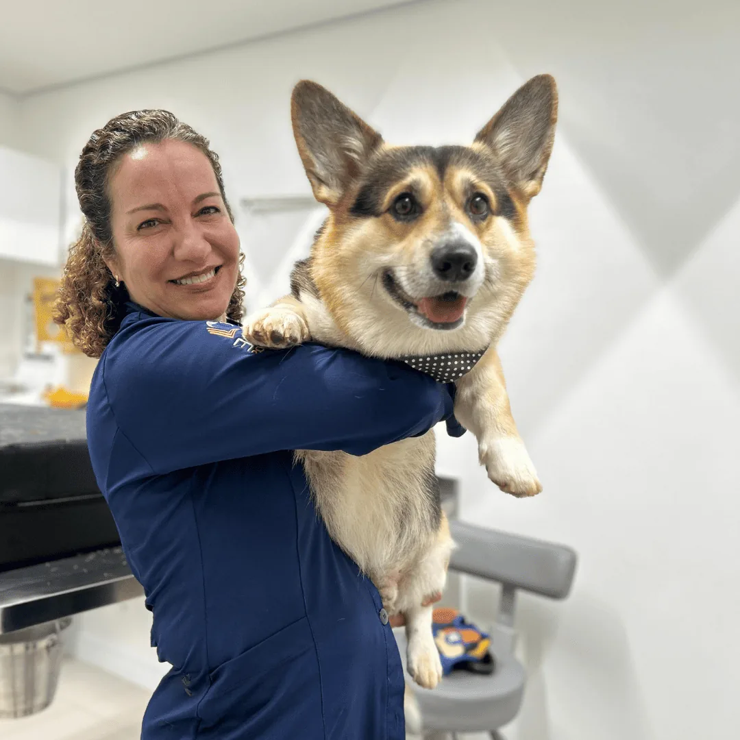 Dra. Nanci Diniz sorrindo com um cão corgi no colo